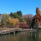 5月20日(5/20)  自然豊かな公園と動物たちに癒されながら...