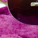エレキギター バッカス DUKE STANDARD 特注モデル 定価18万円