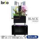 ブリオ brio ガラス水槽 水槽台 セット 黒色