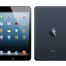 iPad mini 16GB wifi & セルラーモデル（ソフ...