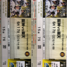 甲子園チケット2枚(阪神vs楽天)
