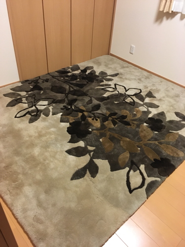 ムートンラグ 絨毯京都西川 200×250 (りんご) 名古屋のカーペット/マット/ラグの中古あげます・譲ります｜ジモティーで不用品の処分