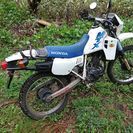 ホンダ MTX 50cc