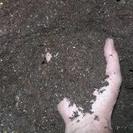 ガーデニング、バラ、作物に最適な有機肥料（馬ふん由来）完熟堆肥5...