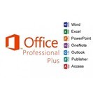 Microsoft Office Professional Pl...