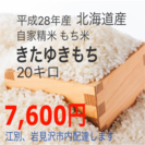 北海道産 もち米 きたゆきもち 20キロ☆農家直送