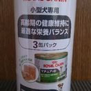 ロイヤルカナン マチュア＋８ ３缶セット
