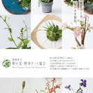 樹脂粘土 野の花・野草アート 新横浜教室の画像