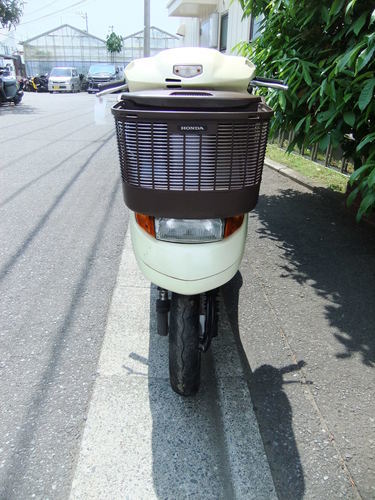 ホンダ DIoチェスタ(4サイクル) AF62 実動美車 オイル交換済み