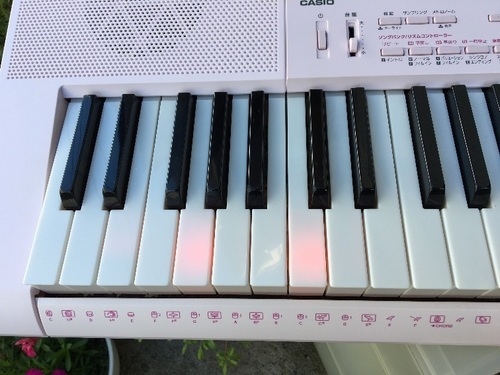 カシオ 電子キーボード 光ナビゲーションキーボード