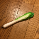 極美品 野菜ボールペン