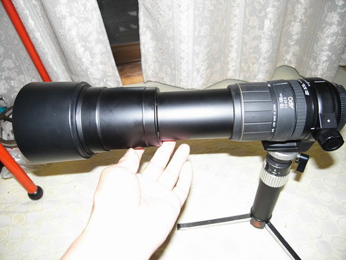 SIGMA AF 170-500mm ズームレンズ　 (Nikon用)