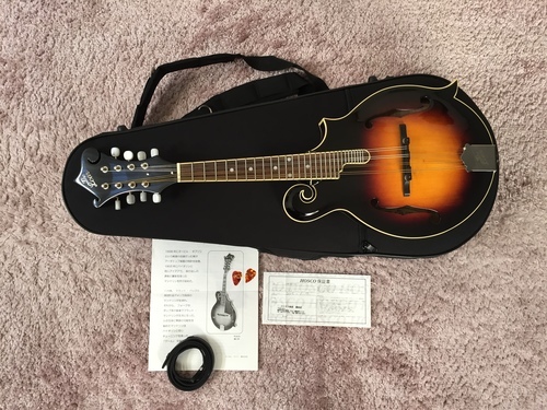 The Loar LM-520 VS フラットマンドリン