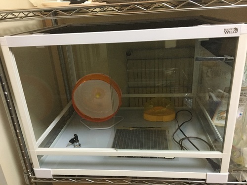 爬虫類ケージ パンテオン6045 ハムスターセット