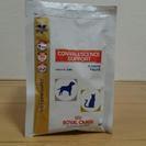 高栄養パウダー50g×11袋 犬・猫用 食事療法食