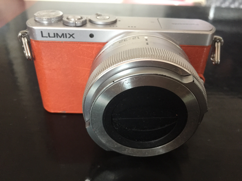 ミラーレスカメラ（LUMIX GM1） おまけ付 | www.thesohoagency.co.uk