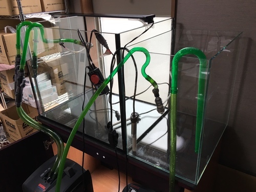 売り切れました。６０ｃｍ水槽４５ｃｍ水槽フィルター２機(２２１７、２０７８)９０ｃｍ水槽台グッズセット