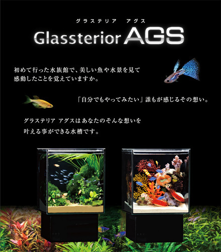 オーバーフロー小型水槽
