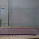 フレームレスオールガラス600水槽【交渉中】