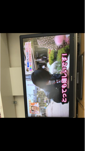 東芝テレビ