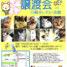 5,/28 保護犬猫 譲渡会 in 川崎