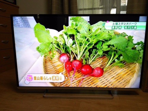 東芝 42型液晶テレビ　regza 42J8　14年製 　美品