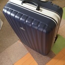 サムソナイト Samsonite C48-41181 [Pallone Spinner (パローネ スピナー) 注文 旅行日数目安：4～7泊 98L