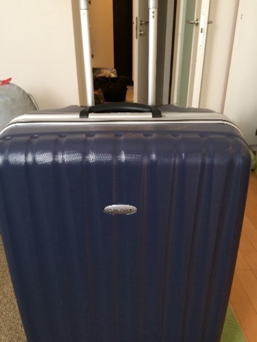 バッグ サムソナイト Samsonite C48-41181 [Pallone Spinner (パローネ