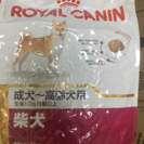 ロイヤルカナン ROYAL CANIN 柴犬 成犬ー高齢犬 8kg