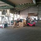 野菜工場 選別 袋詰め 機械