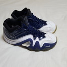 NIKE ZOOM UPTEMPO V PREMIUM 26cm...