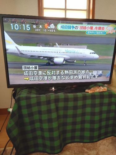 洗濯機と同時購入ならさらにお得！　画面大きなTVです！