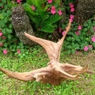 杉の木のオブジェ