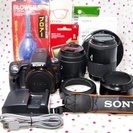 【参考写真アリ】SONY 一眼レフカメラ α55 Wズームレンズキット