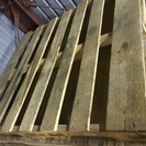 木製パレット 50枚程度