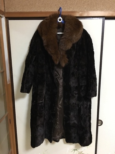 激レア　モール(モグラ）フォックス襟コート