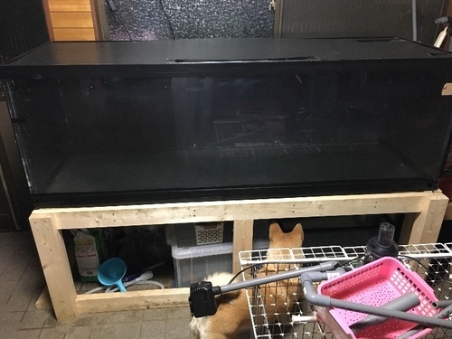 180×60×60センチ大型水槽 【公式通販】