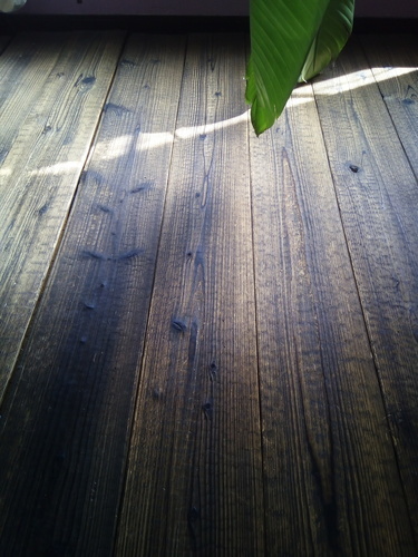 焼き杉　浮造り　長さ3ｍ　幅160ｍｍ　15枚セット　床板