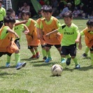 ステラサッカースクール　成田教室の画像