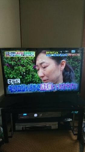 液晶テレビ TOSHIBAREGZA