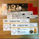 6月18日(日) 巨人対千葉ロッテ 連番 3塁側オーロラシート - スポーツ