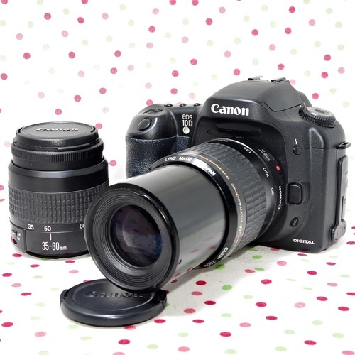 参考写真アリ］Canon EOS 10D Wズームレンズキット
