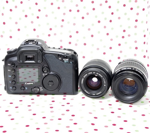 参考写真アリ］Canon EOS 10D Wズームレンズキット