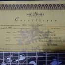 Nik huber orca \'\'custom order\'\' ニックフーバー オルカ カスタムオーダー品 ほぼ未使用にて美品です