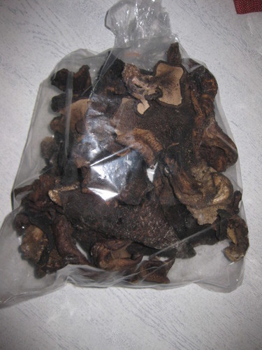 コウタケ 香茸 乾燥済み　約340グラム　珍味　珍しいきのこ　塩尻