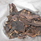 コウタケ 香茸 乾燥済み　約340グラム　珍味　珍しいきのこ　塩尻