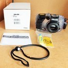 シーアンドシー SEA&SEA DX-1200HD 水中カメラ◇水の中でもシャッター