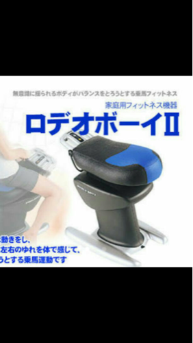 ロデオボーイ２ 説明書なし