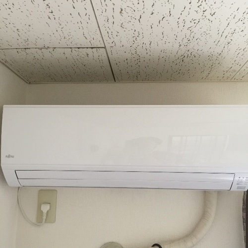 去年の夏のみ使用