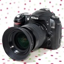 【参考写真あり】初心者に最適☆Nikon D50 レンズキット